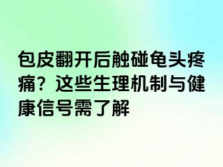 包皮翻开后触碰龟头疼痛？这些生理机制与健康信号需了解